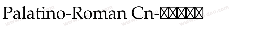 Palatino-Roman Cn字体转换